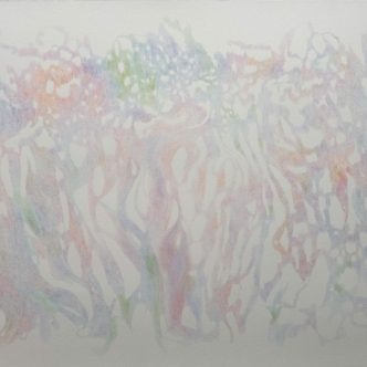 cedric nove-josserand dessin